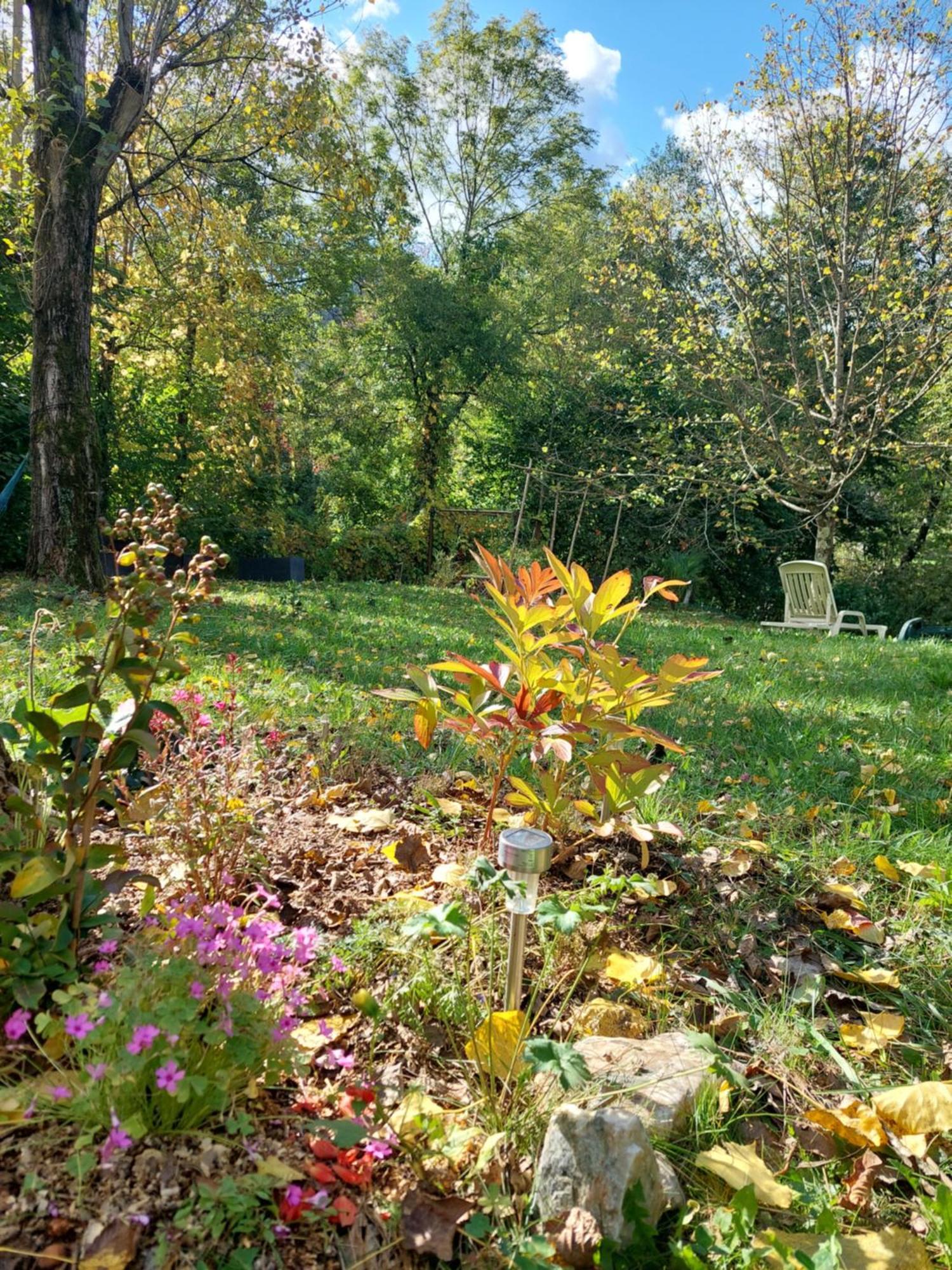 Gite Et Jardin En Bord De Riviere Saumane Exterior foto